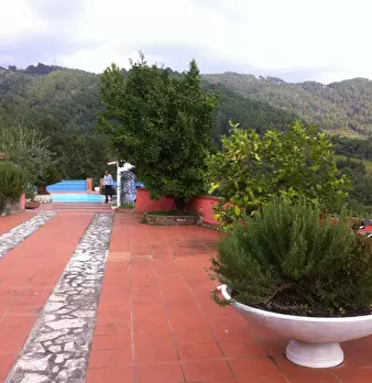 Foto annuncio 8