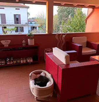 Foto annuncio 4