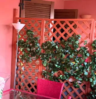 Foto annuncio 7