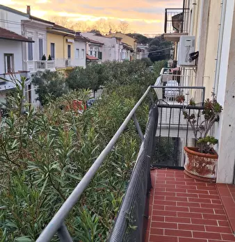 Foto annuncio 10