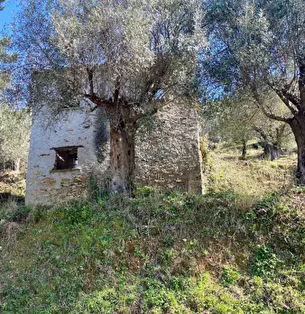 Foto annuncio 20