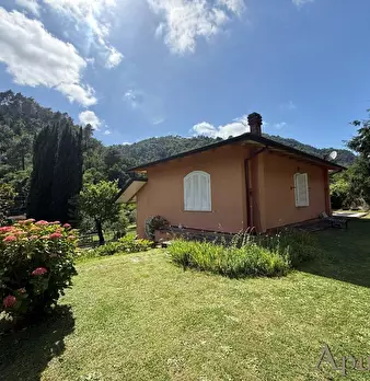 Foto annuncio 8