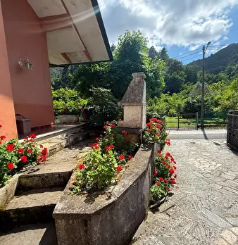 Foto annuncio 11
