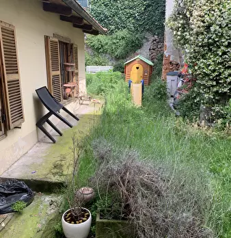 Foto annuncio 6