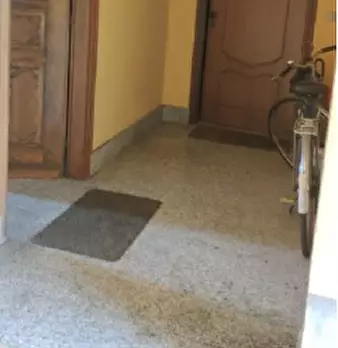 Foto annuncio 13