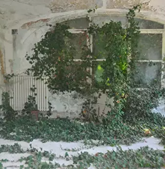 Foto annuncio 5