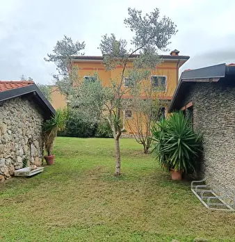 Foto annuncio 8