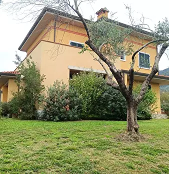Foto annuncio 2