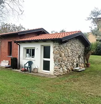 Foto annuncio 7