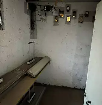 Foto annuncio 7