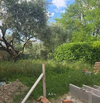 Foto annuncio 19