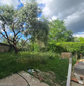 Foto annuncio 24
