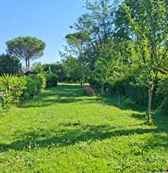 Foto annuncio 2