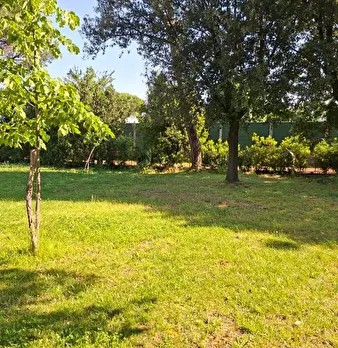 Foto annuncio 39