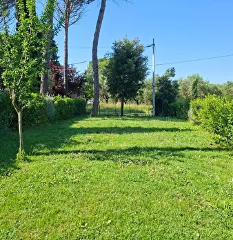 Foto annuncio 32
