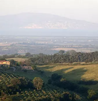 Foto annuncio 20