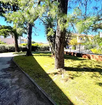 Foto annuncio 29