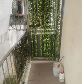 Foto annuncio 7