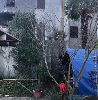 Foto annuncio 2