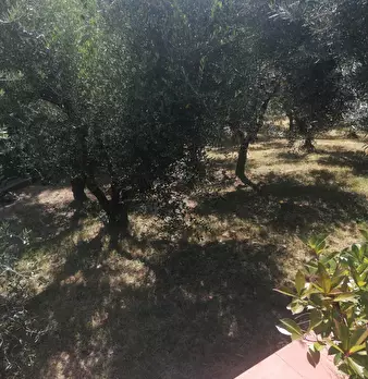 Foto annuncio 21