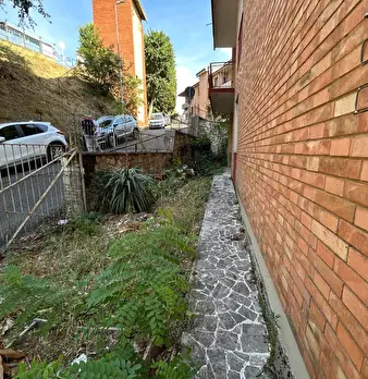 Foto annuncio 7
