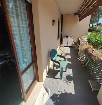 Foto annuncio 7