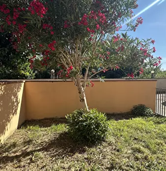 Foto annuncio 7