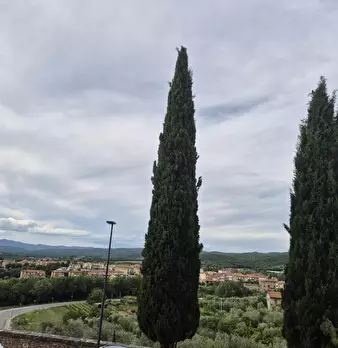 Foto annuncio 12