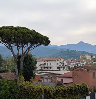 Foto annuncio 10