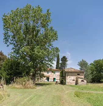Foto annuncio 38