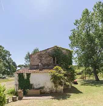 Foto annuncio 9