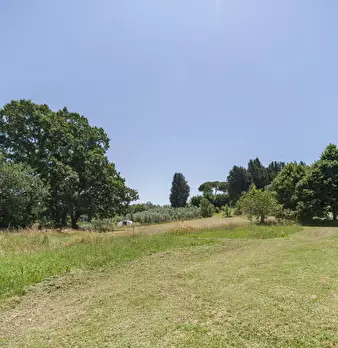Foto annuncio 37