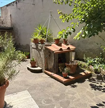 Foto annuncio 5