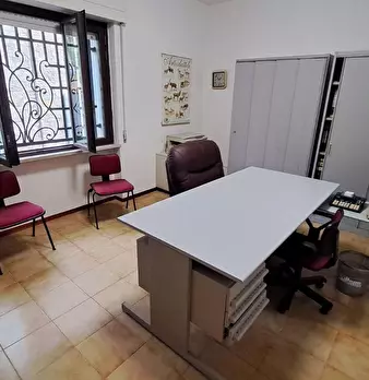 Foto annuncio 8