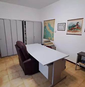 Foto annuncio 9