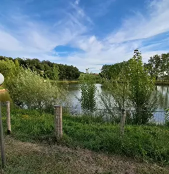 Foto annuncio 7