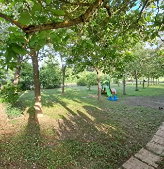 Foto annuncio 9