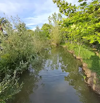 Foto annuncio 60
