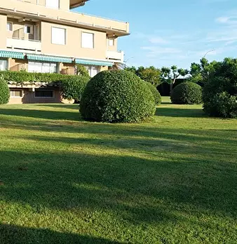Foto annuncio 5