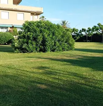 Foto annuncio 3