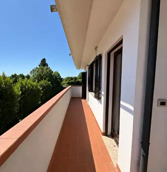 Foto annuncio 5