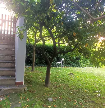 Foto annuncio 30