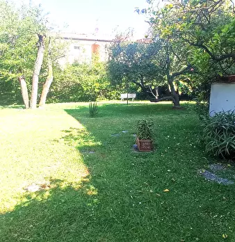 Foto annuncio 10