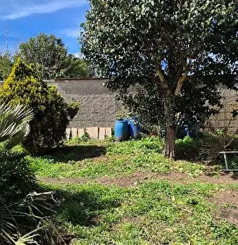 Foto annuncio 3