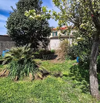 Foto annuncio 6