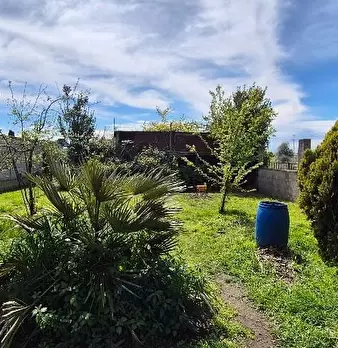 Foto annuncio 1