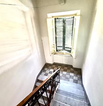 Foto annuncio 26