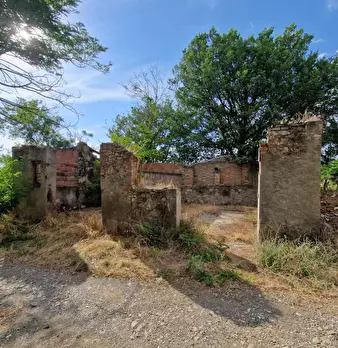 Foto annuncio 7