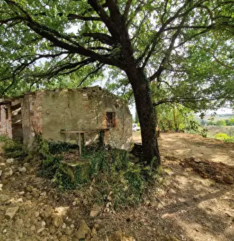 Foto annuncio 8