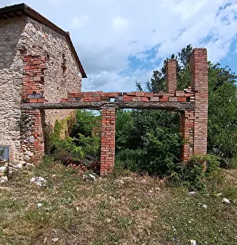 Foto annuncio 9